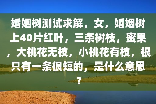 婚姻树测试求解，女，婚姻树上40片红叶，三条树枝，蜜果，大桃花无枝，小桃花有枝，根只有一条很短的，是什么意思？