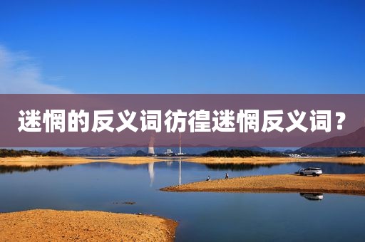 迷惘的反义词彷徨迷惘反义词？