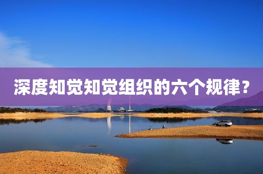 深度知觉知觉组织的六个规律？