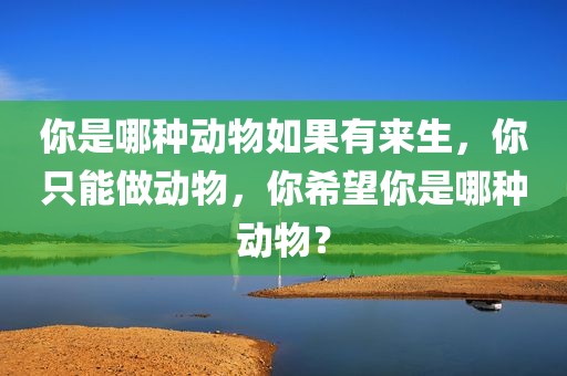 你是哪种动物如果有来生，你只能做动物，你希望你是哪种动物？