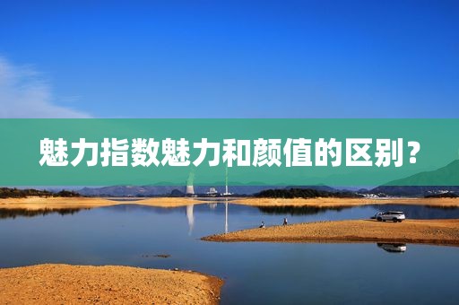 魅力指数魅力和颜值的区别？