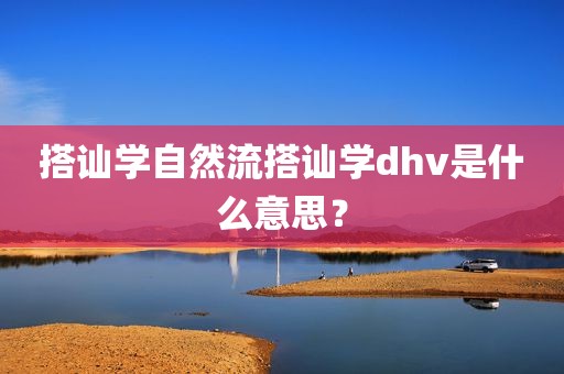 搭讪学自然流搭讪学dhv是什么意思？
