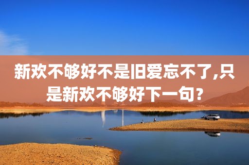 新欢不够好不是旧爱忘不了,只是新欢不够好下一句？