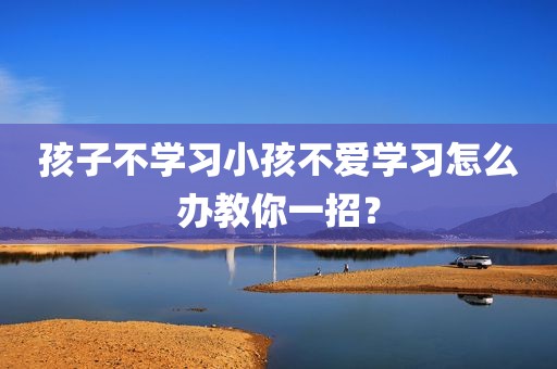 孩子不学习小孩不爱学习怎么办教你一招？