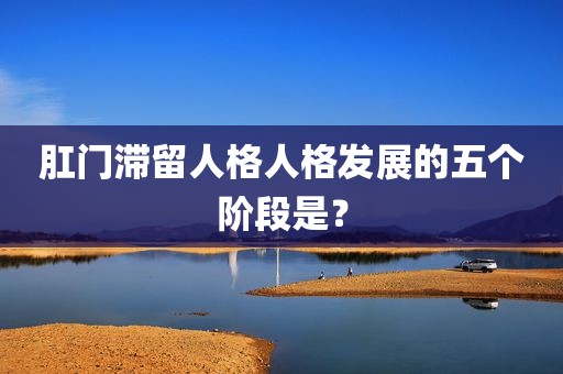 肛门滞留人格人格发展的五个阶段是？