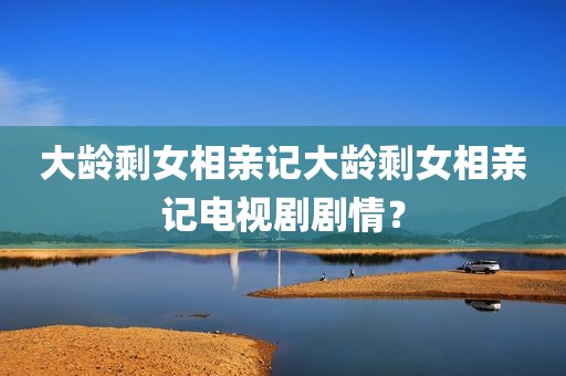 大龄剩女相亲记大龄剩女相亲记电视剧剧情？