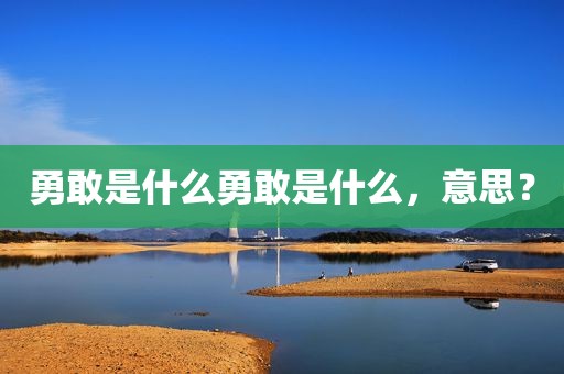 勇敢是什么勇敢是什么，意思？