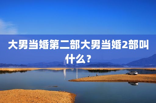 大男当婚第二部大男当婚2部叫什么？