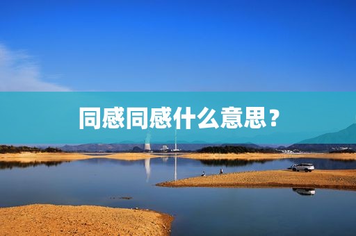同感同感什么意思？