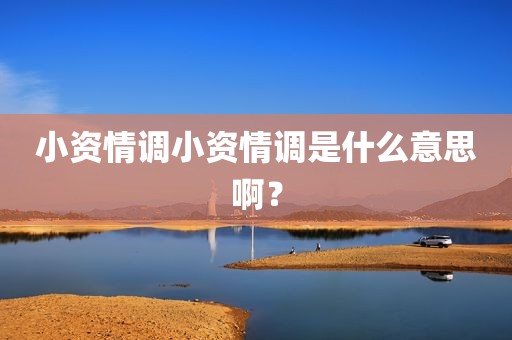 小资情调小资情调是什么意思啊？