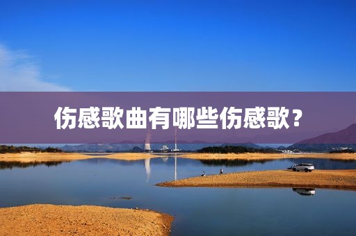 伤感歌曲有哪些伤感歌？