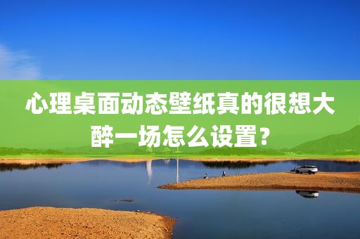 心理桌面动态壁纸真的很想大醉一场怎么设置？