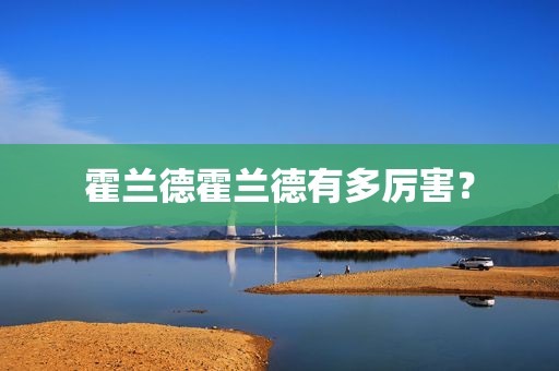 霍兰德霍兰德有多厉害？