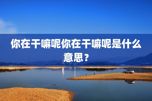 你在干嘛呢你在干嘛呢是什么意思？