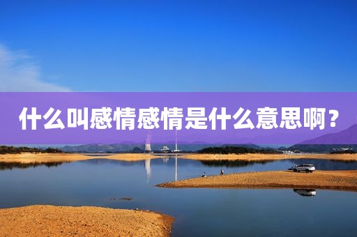 什么叫感情感情是什么意思啊？