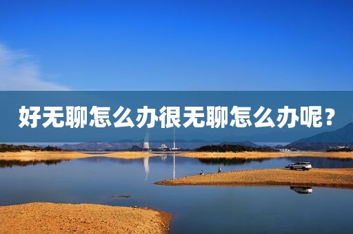好无聊怎么办很无聊怎么办呢？