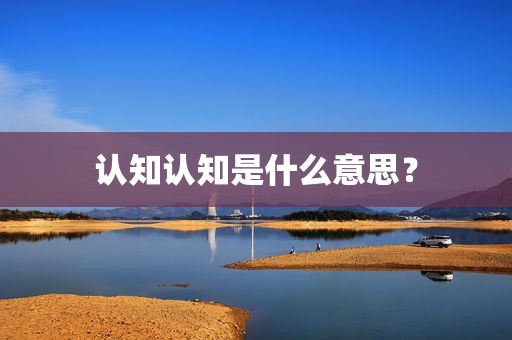 认知认知是什么意思？