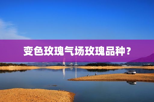 变色玫瑰气场玫瑰品种？