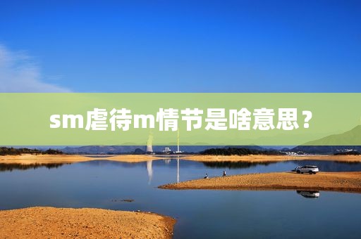 sm虐待m情节是啥意思？