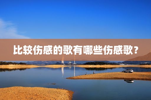 比较伤感的歌有哪些伤感歌？