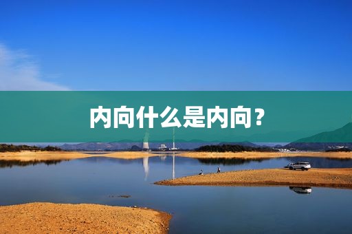内向什么是内向？