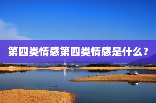 第四类情感第四类情感是什么？