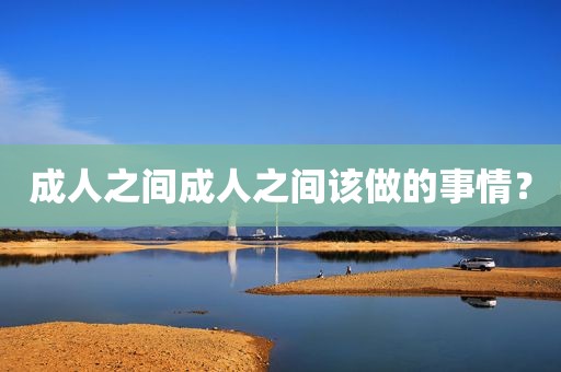 成人之间成人之间该做的事情？