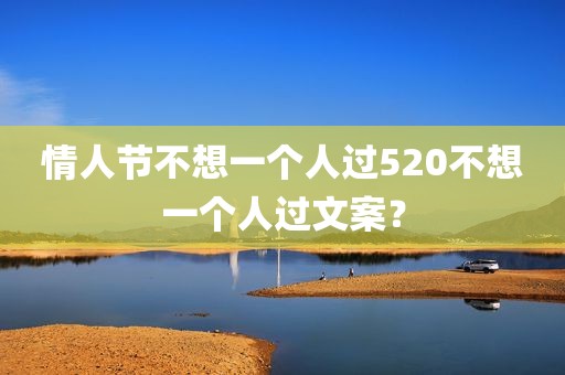 情人节不想一个人过520不想一个人过文案？