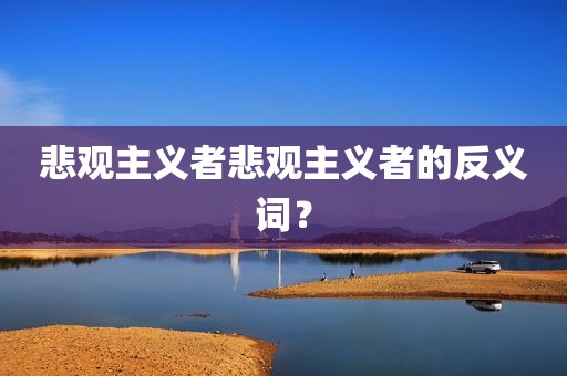 悲观主义者悲观主义者的反义词？