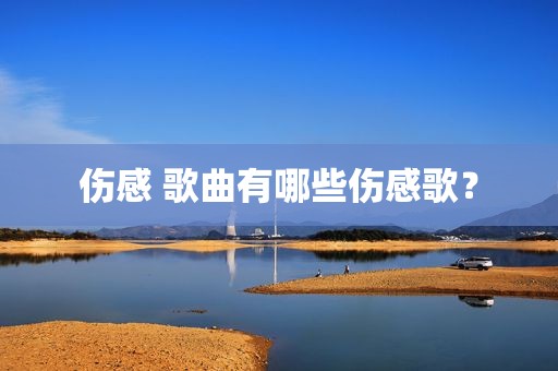 伤感 歌曲有哪些伤感歌？