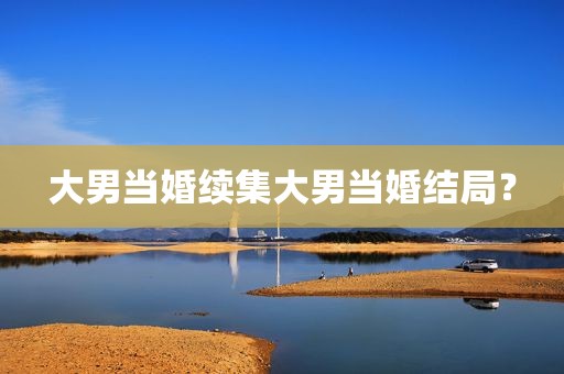 大男当婚续集大男当婚结局？