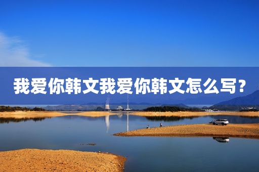 我爱你韩文我爱你韩文怎么写？