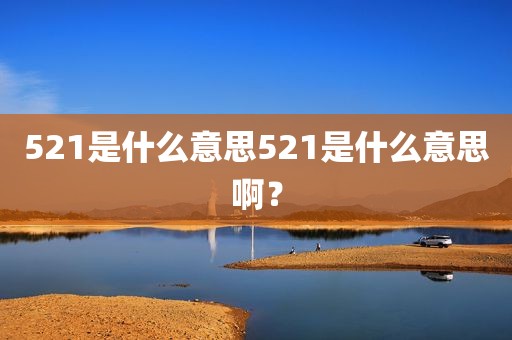 521是什么意思521是什么意思啊？