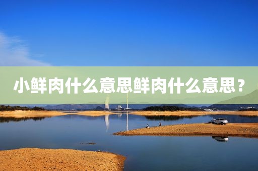 小鲜肉什么意思鲜肉什么意思？
