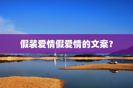 假装爱情假爱情的文案？