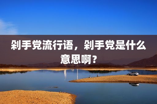 剁手党流行语，剁手党是什么意思啊？