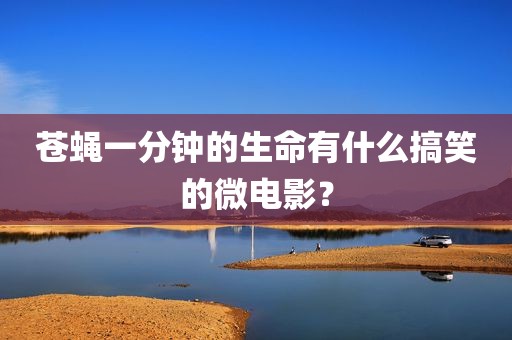 苍蝇一分钟的生命有什么搞笑的微电影？