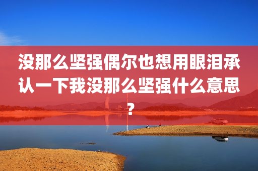 没那么坚强偶尔也想用眼泪承认一下我没那么坚强什么意思？
