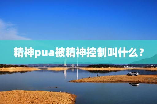 精神pua被精神控制叫什么？