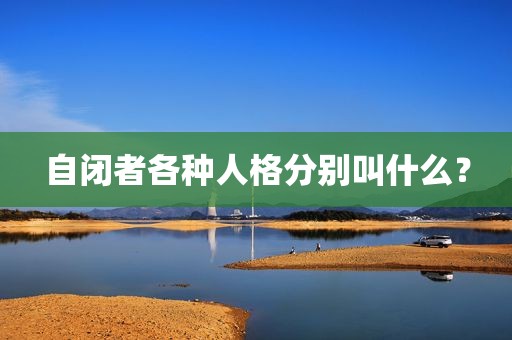 自闭者各种人格分别叫什么？
