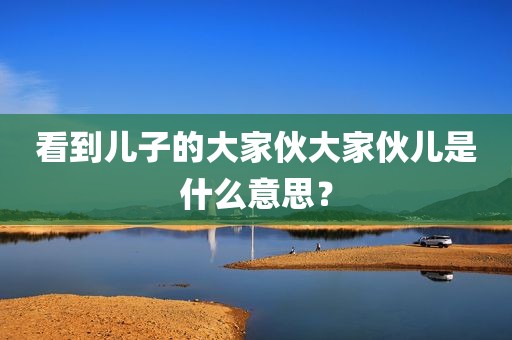 看到儿子的大家伙大家伙儿是什么意思？