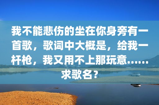 我不能悲伤的坐在你身旁有一首歌，歌词中大概是，给我一杆枪，我又用不上那玩意……求歌名？