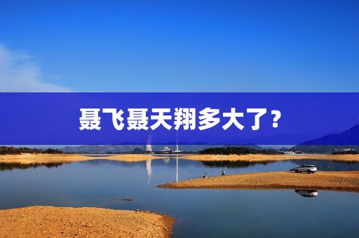 聂飞聂天翔多大了？