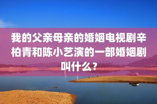 我的父亲母亲的婚姻电视剧辛柏青和陈小艺演的一部婚姻剧叫什么？