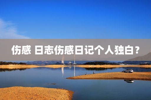 伤感 日志伤感日记个人独白？