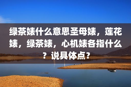 绿茶婊什么意思圣母婊，莲花婊，绿茶婊，心机婊各指什么？说具体点？