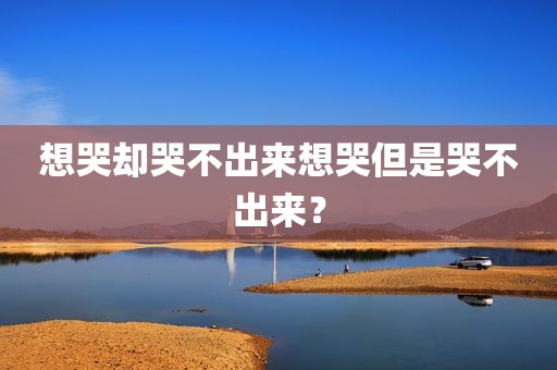想哭却哭不出来想哭但是哭不出来？