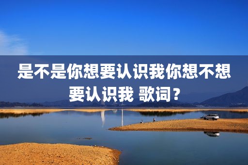 是不是你想要认识我你想不想要认识我 歌词？