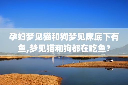 孕妇梦见猫和狗梦见床底下有鱼,梦见猫和狗都在吃鱼？