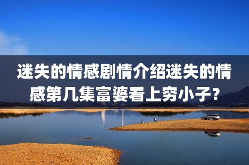迷失的情感剧情介绍迷失的情感第几集富婆看上穷小子？